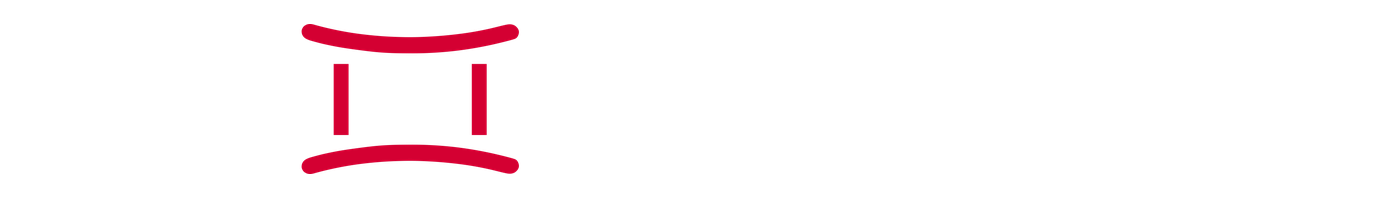 Logo-Kombination geminiware VisuPal, negativ